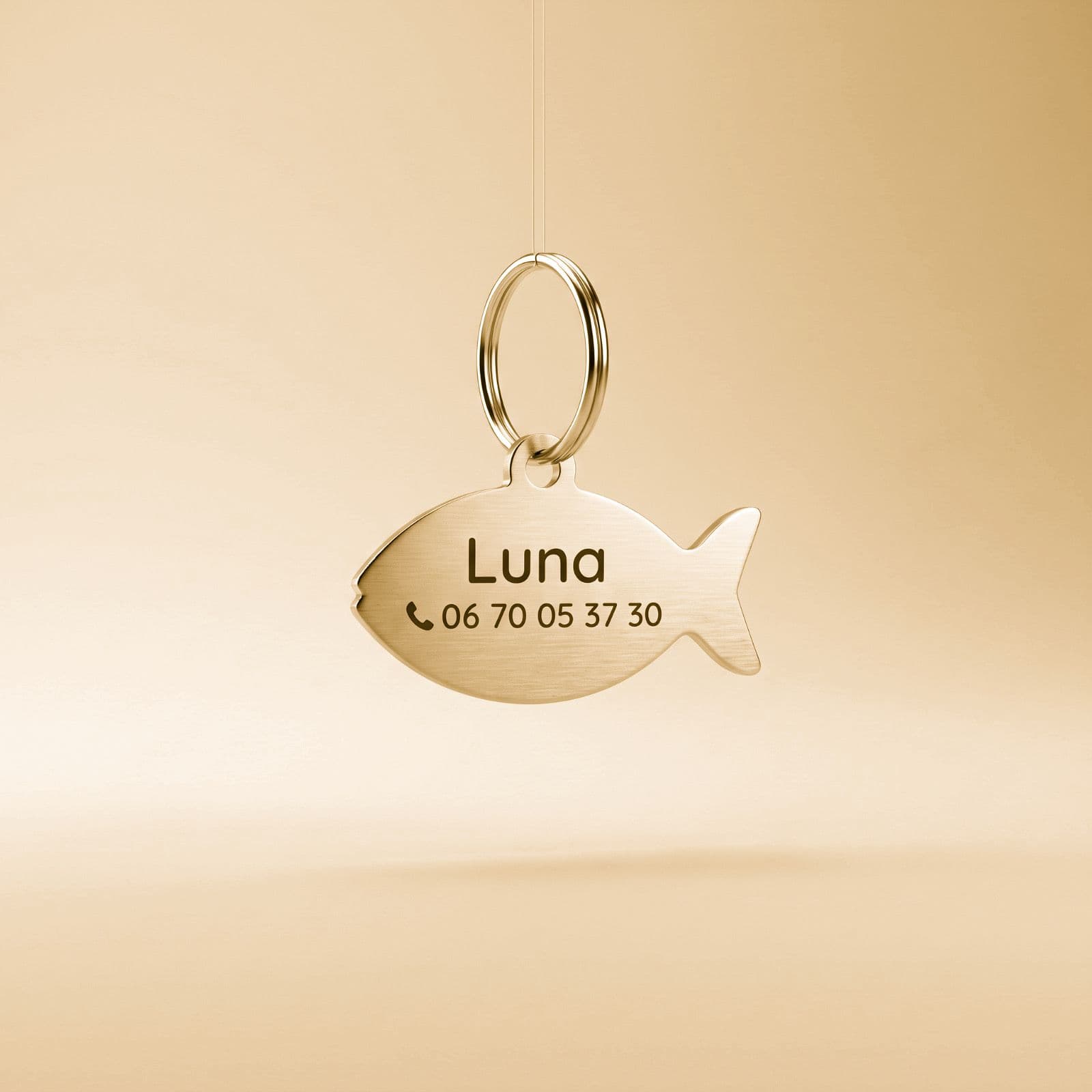 Le Poisson